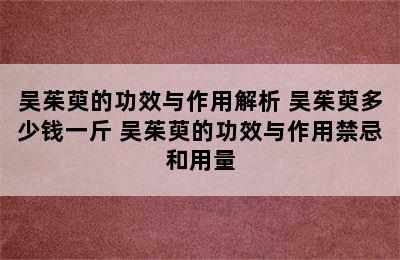 吴茱萸的功效与作用解析 吴茱萸多少钱一斤 吴茱萸的功效与作用禁忌和用量